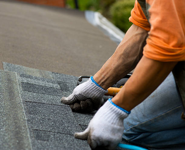 Quick and Trustworthy Emergency Roof Repair Services in Greenbriar, FL